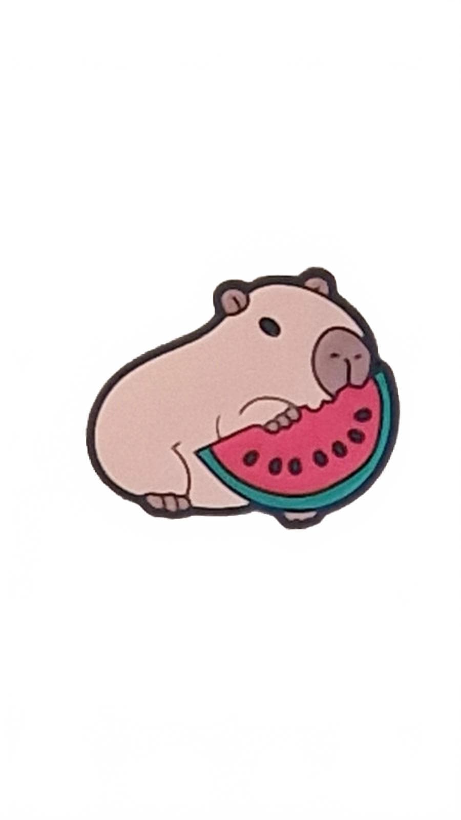Cute capybara eating water melon shoe charm